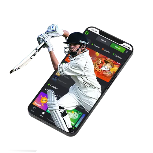 Key Features of Cricket Betting at BC Game