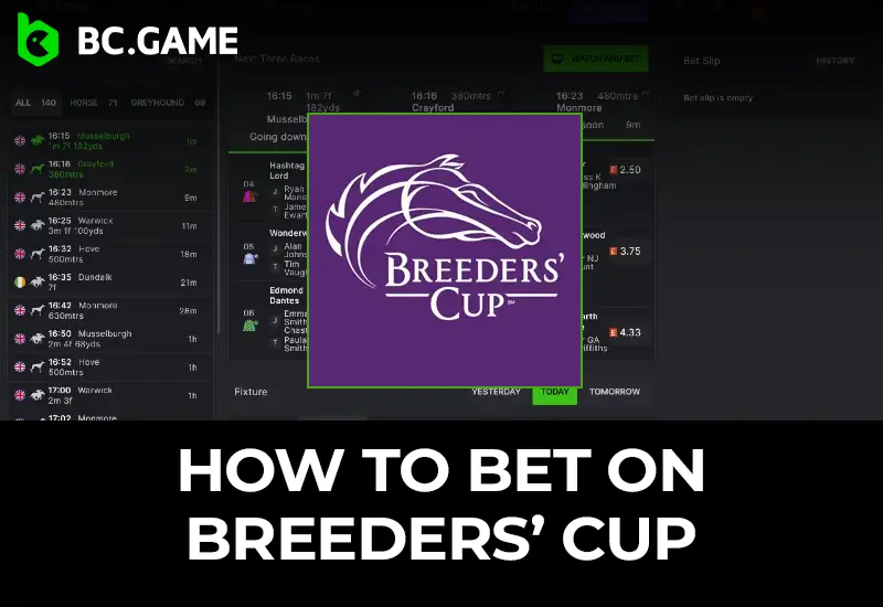 Breeders Cup Betting Guide: Strategies & Tips | BC Game