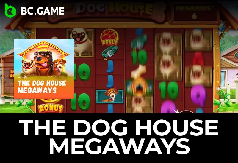 Play The Dog House Megaways at BC Game in Brazil