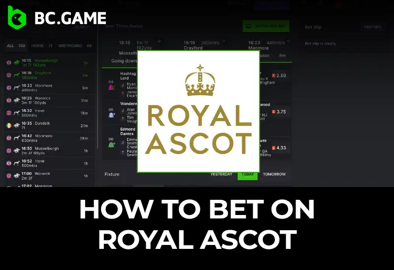 Royal Ascot Betting Guide: Tips & Odds with BC Game