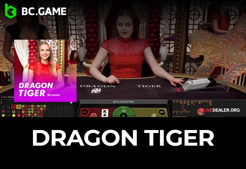 Dragon Tiger by Evolution Gaming How to Play, Tips, & More