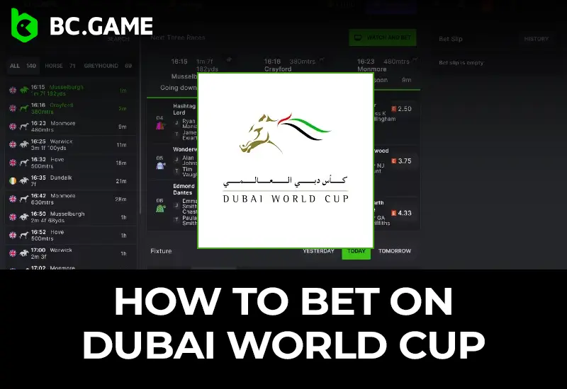 Dubai World Cup Betting: Odds, Picks & More with BC Game