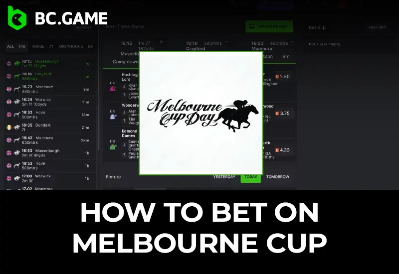 Melbourne Cup Betting 2024 Guide for Brazilian Bettors