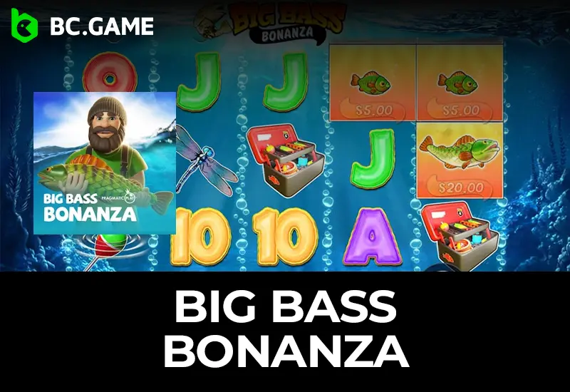 Big Bass Bonanza by Pragmatic Play How to Play, Win & More